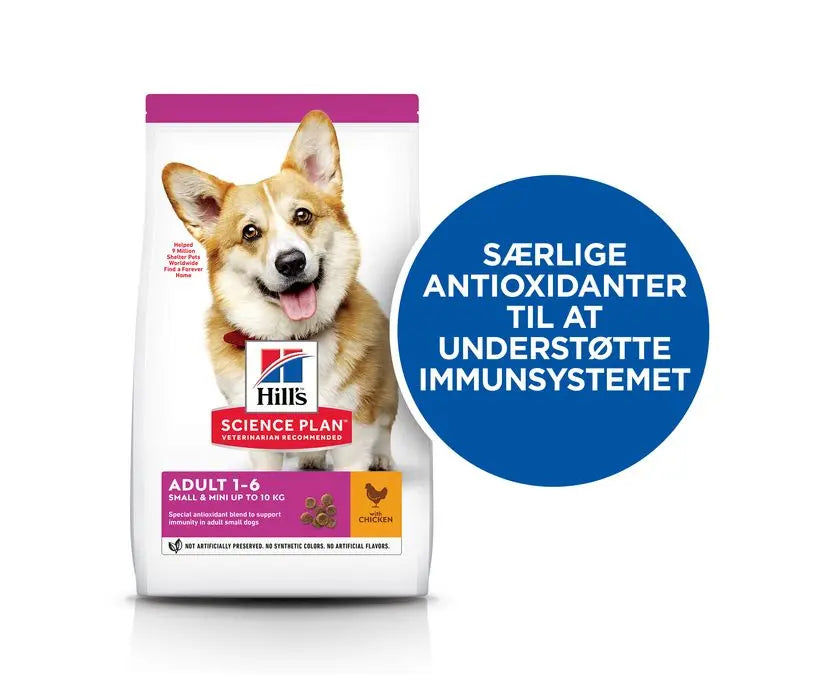 Adult Small & Mini kylling 1,5 kg
