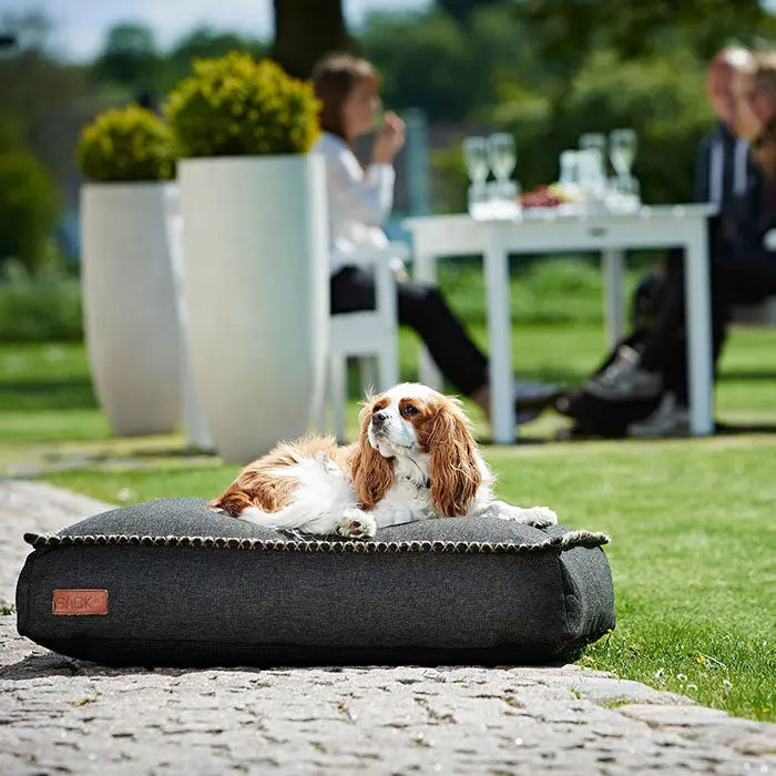 Dog bed Sort