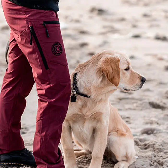 Hundelufter skalbukser Viggo Bordeaux