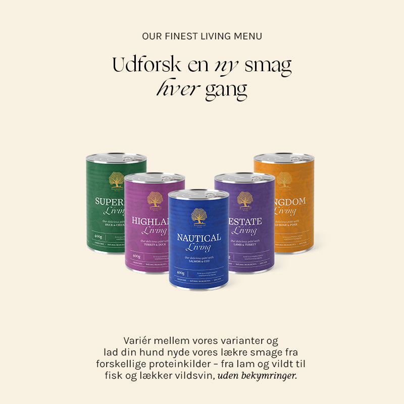 Adult Paté Highland Living kalkun & and 400 g