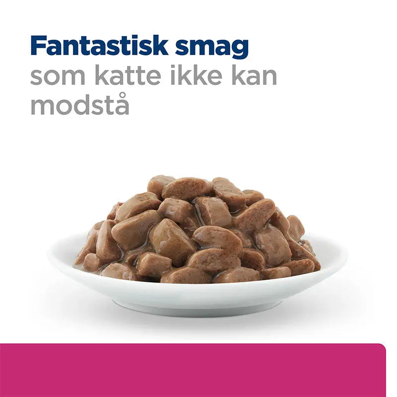 Diætetisk Feline GI Biome kylling 12x85 g