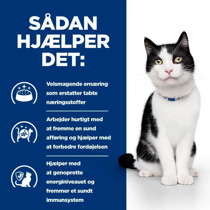 Diætetisk fuldfoder Digestive Care i/d 12x85 g